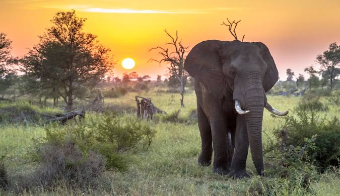Kruger National Park